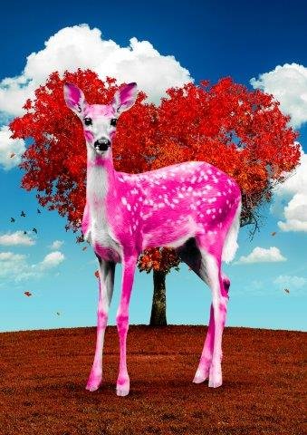 Oh Deer Valentine – Bambi Pink