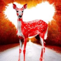 Oh Deer Valentine – Bambi Red