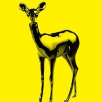 Yellow Bambi II