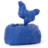 Blue chicken on rock