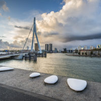 Rotterdam Stones and Water