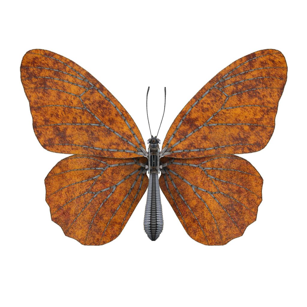 Butterfly I – orange