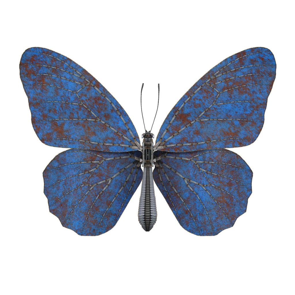 Butterfly II-blue