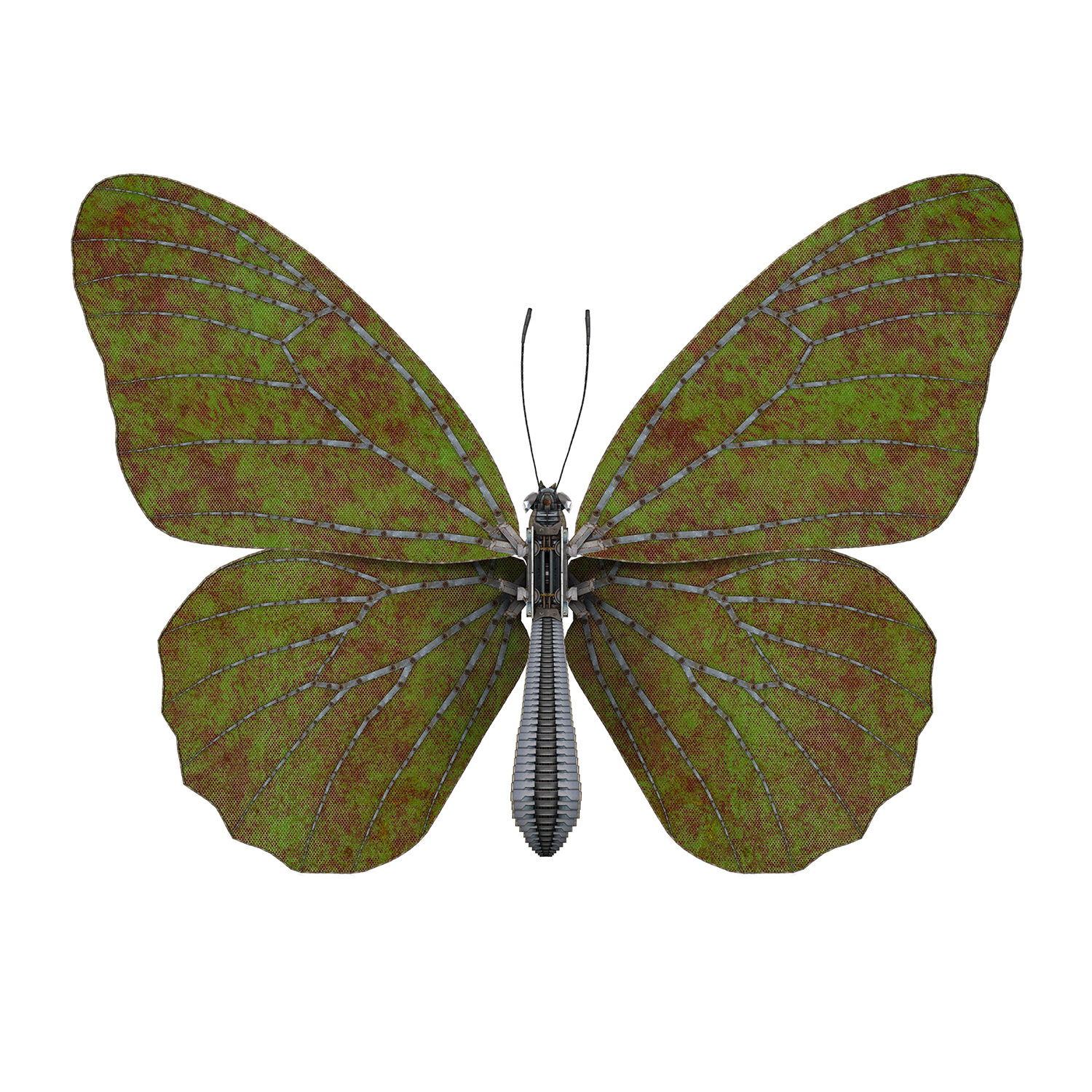 Butterfly III – green