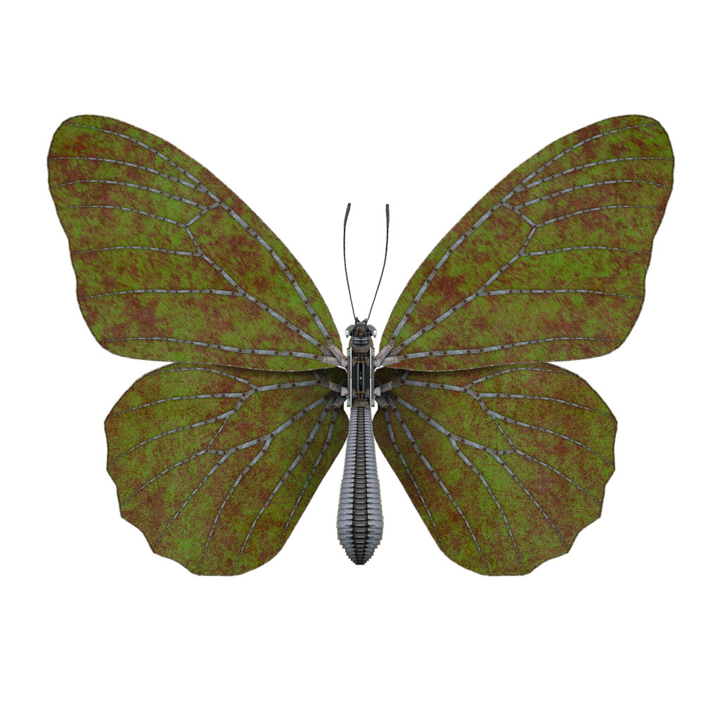 Butterfly III – green