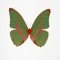 The Souls III Leaf Green – Rustic Copper – Prairie Copper OC7922