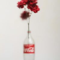 Rose & Coke