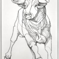 Toro de tericiopelo – Velvet Bull