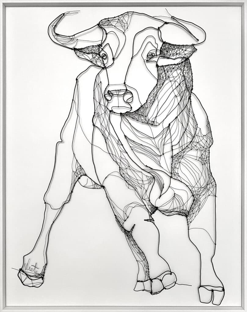 Toro de tericiopelo – Velvet Bull
