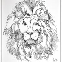 Mirada de león