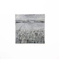 Huis met het witte dak