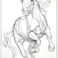 Salto de Caballo – Paardensprong