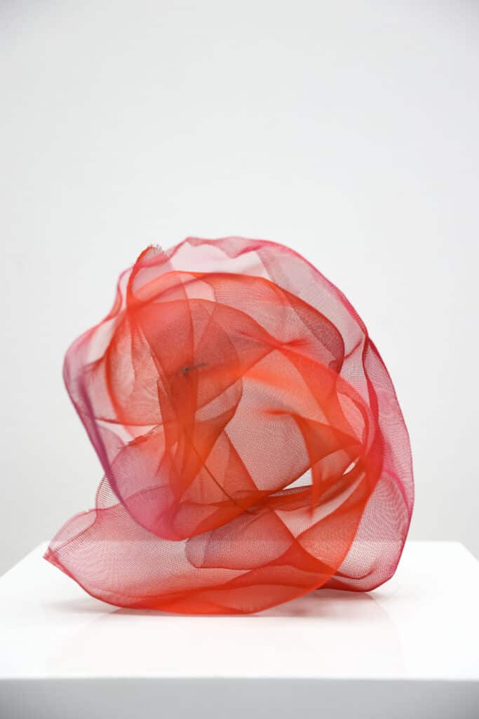 Flair - Carry Doorn - De Kunsthuizen (4) Flair