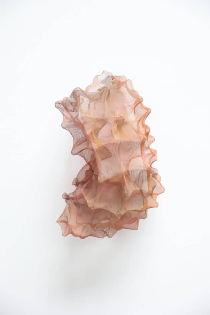 Morphosis (S) - Carry Doorn - De Kunsthuizen (4) Morphosis