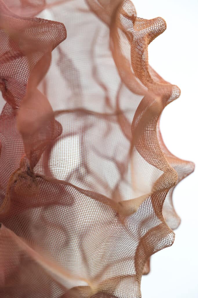 Morphosis (S) - Carry Doorn - De Kunsthuizen (6) Morphosis