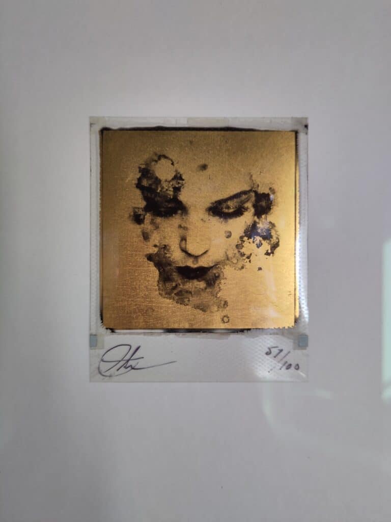 Andrew J. Millar Falling Leaves 30x40 cm Kunsthuizen Falling Leaves