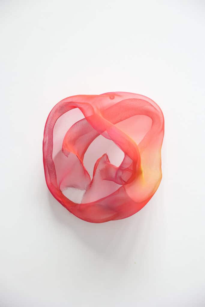 Pulse - Carry Doorn - De Kunsthuizen (10) Pulse