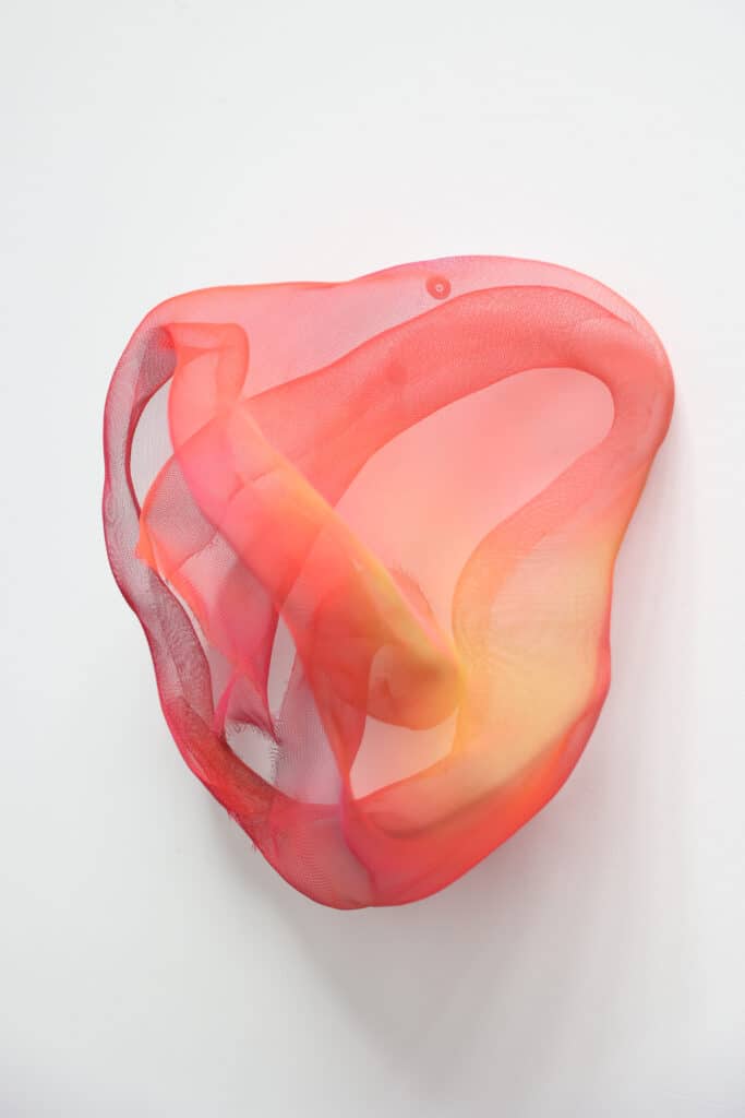 Pulse - Carry Doorn - De Kunsthuizen (11) Pulse