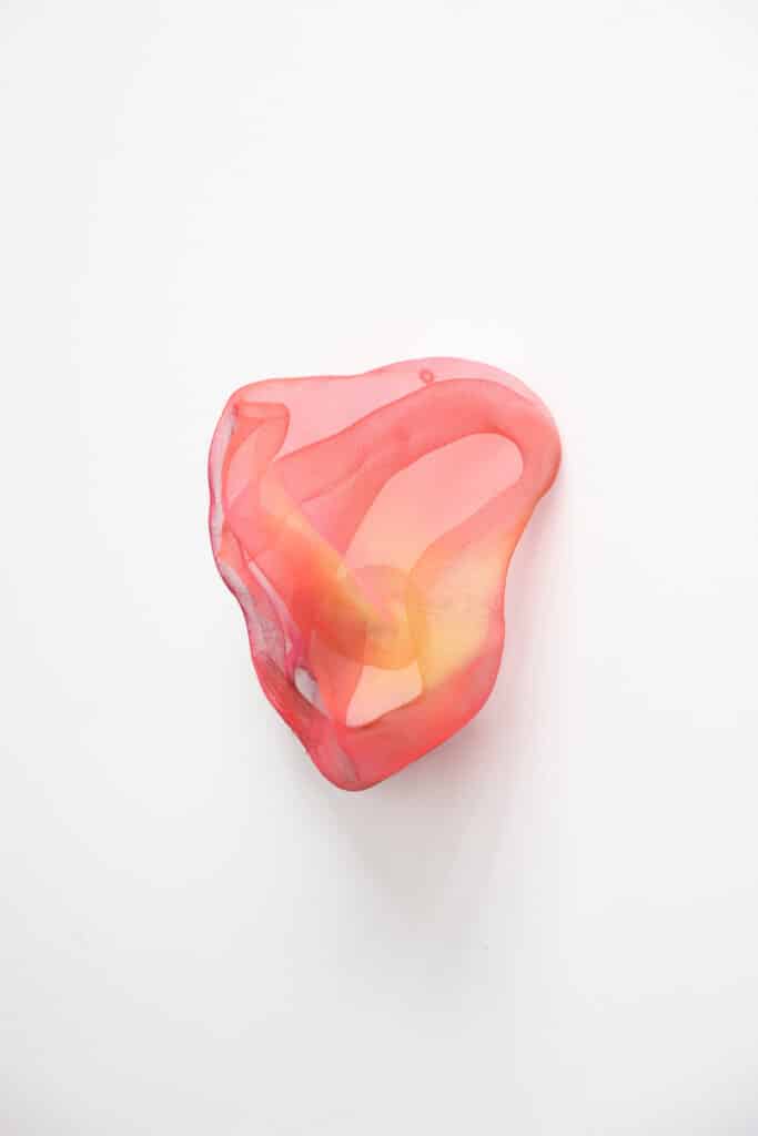 Pulse - Carry Doorn - De Kunsthuizen (16) Pulse