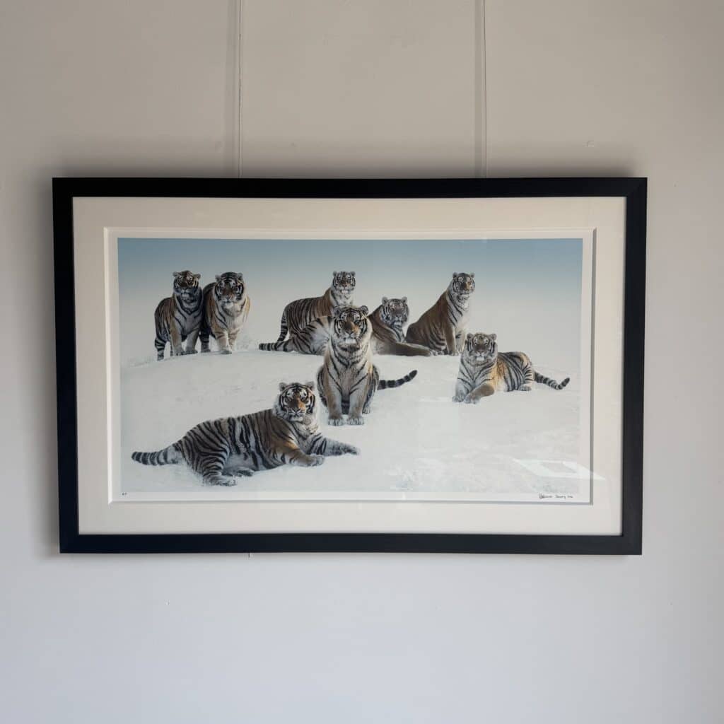 Siberians