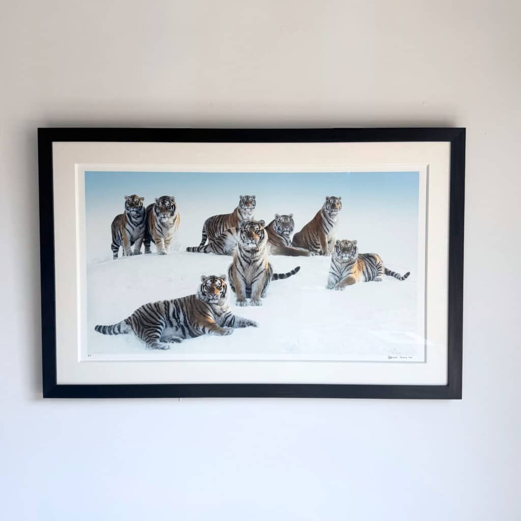 Siberians