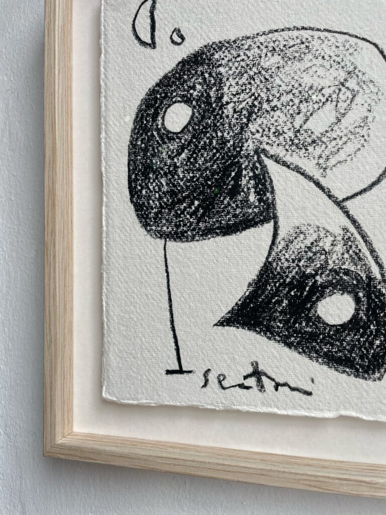 Selwyn Senatori - My Micro Universe part 6 21x28 - De Kunsthuizen My Micro Universe 6