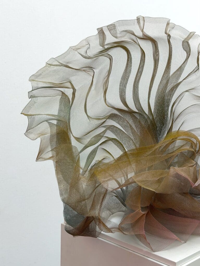 Echo