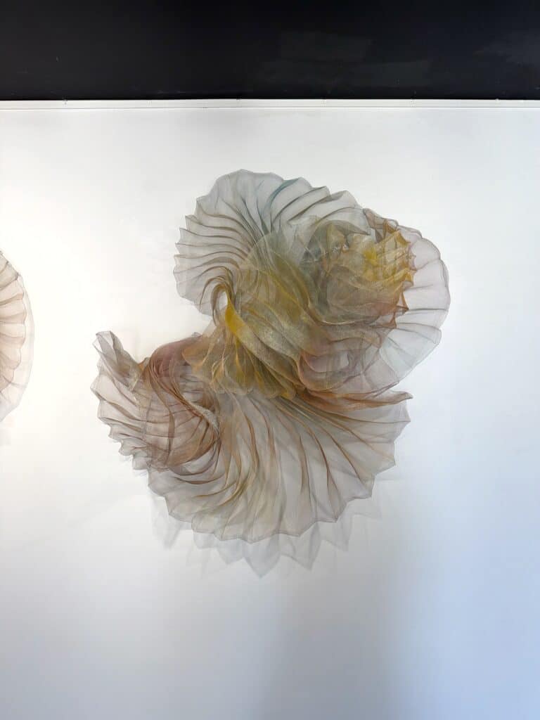 Lumera